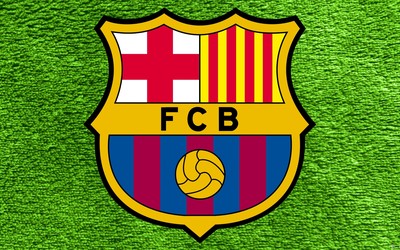 雷速电竞热评-南非板球国家队训练时被猴子偷走球